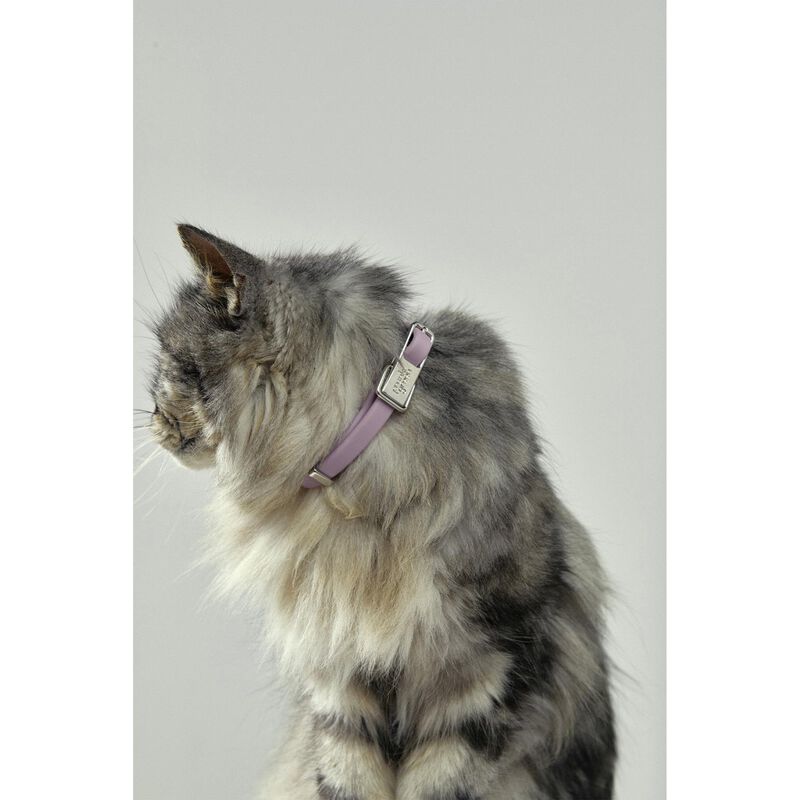 frank green Pet Collar + Name Tag Small Lilac Haze image number 1